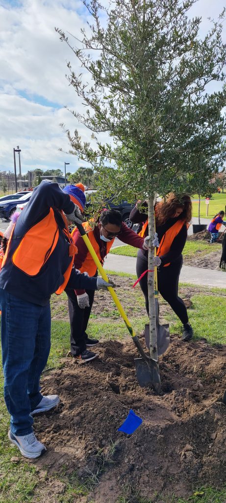 Seedlings for Civil Rights Day of Service, Orlando, FL | NOVA Engineering